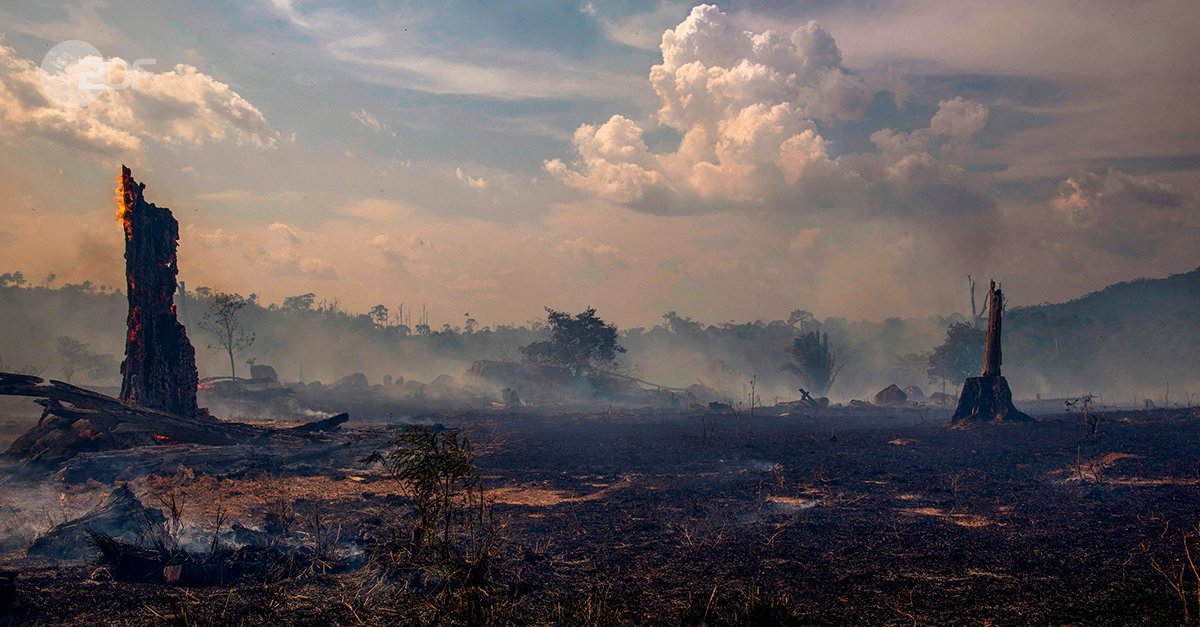 "Terra X: Wildes Wetter - Auf den Spuren der Klimaforschung": Aufnahme von verkohlten Bäumen im Regenwald. Rauchverhangener Himmel. Sonntag, 19:30 Uhr im ZDF. 