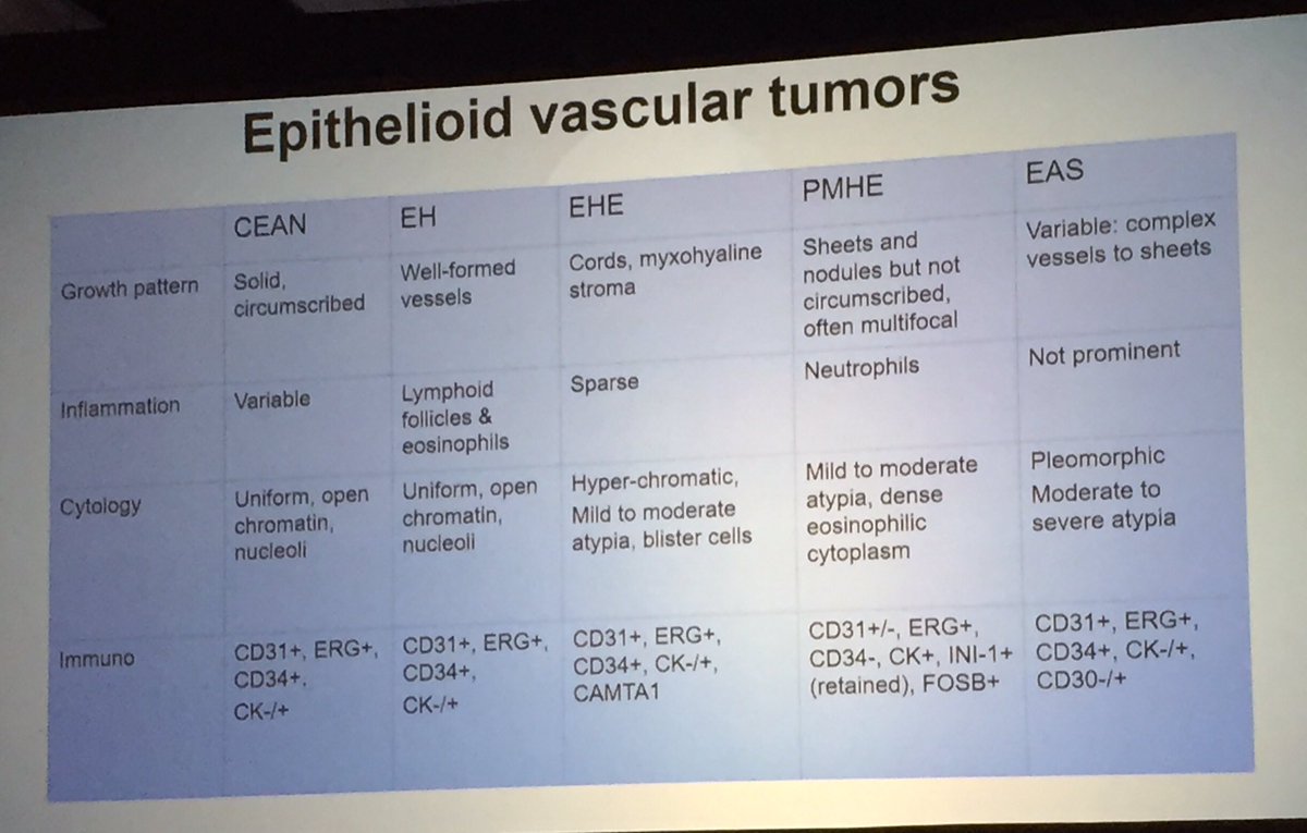marammussab's tweet photo. Pearls in soft tissue tumors! Dr. Rajiv Patel  #ASDP19 #ASDP2019 #pathology #dermatology #dermpath #ASDPTweets https://t.co/Z6ldn8lVg8