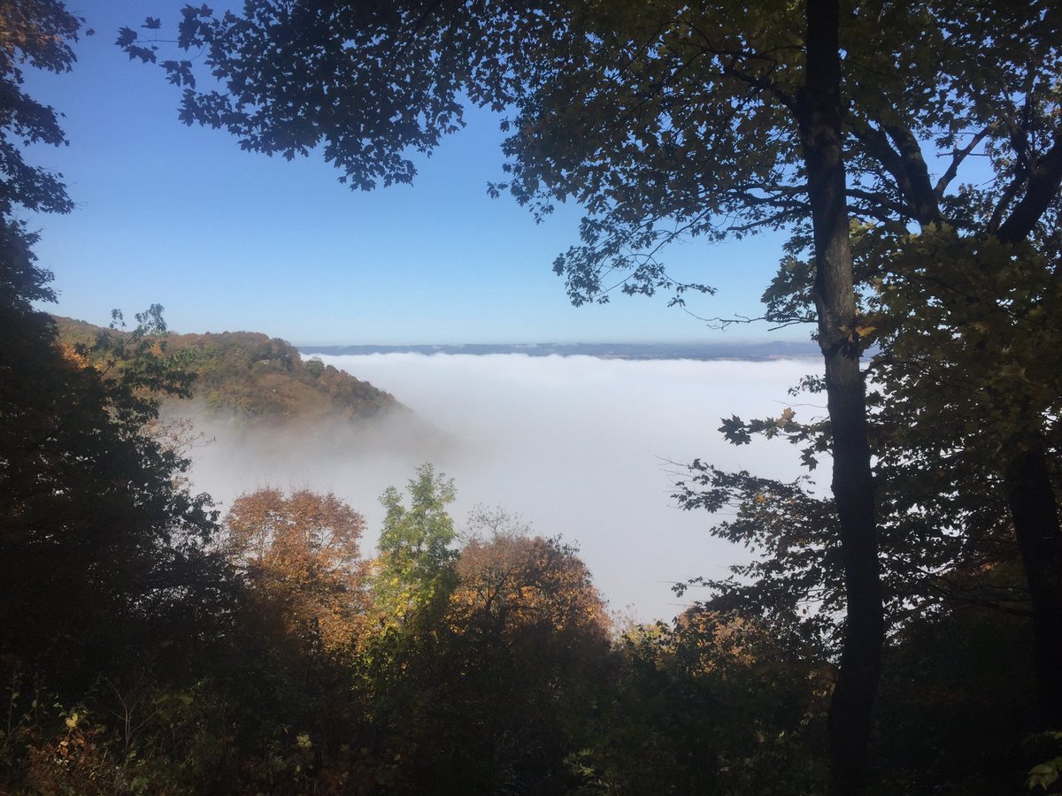 PBWeiss's tweet image. Dense fog around noon at Great River Bluffs State Park.
