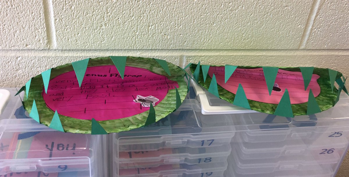 Kristy Beasley tweet media