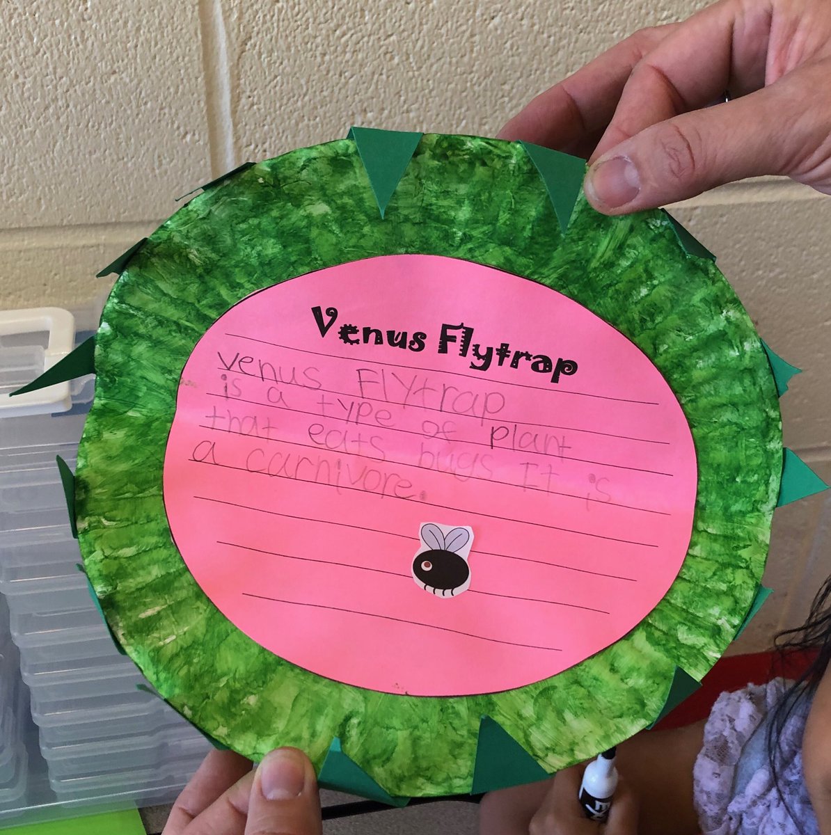 Kristy Beasley tweet media