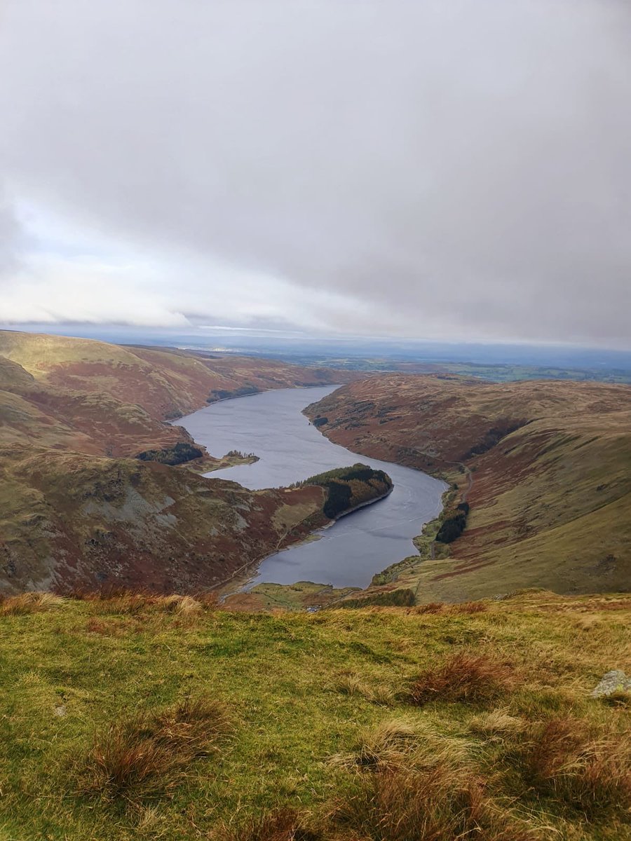 CTizzle27's tweet image. 6 more #wainwrights ticked off today during a blustery walk in the Far Eastern fells. Visibility not so good for the most part but an enjoyable one nonetheless. 38 down, 176 to go! #wainwrightamonth @Gingerpalms