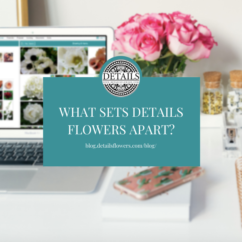 We break down one of our most common questions, "How is Details different than other floral software platforms on the market?" in our newest blog! hubs.ly/H0lllsk0 🌸
 
#detailsflowers #detailsflowerssoftware #florist #flowers #technology #design #software