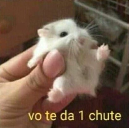 Bichinhos Brabo On Twitter Https T Co Zzqst9seor Twitter Bichinhos Brabo On Twitter Https T Co Zzqst9seor Twitter