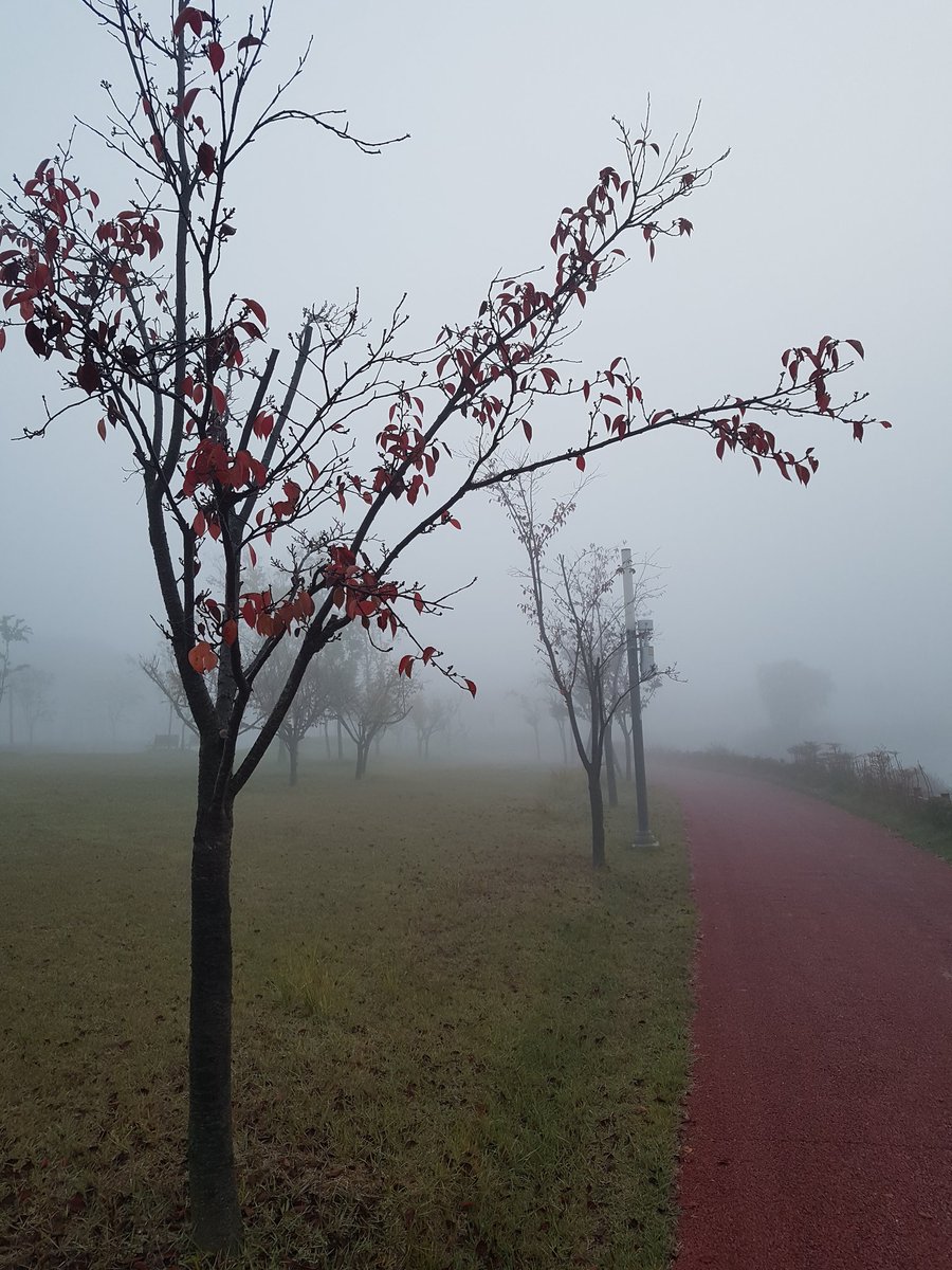 안개는 곧
걷힌다

인생사
안개 같은것
