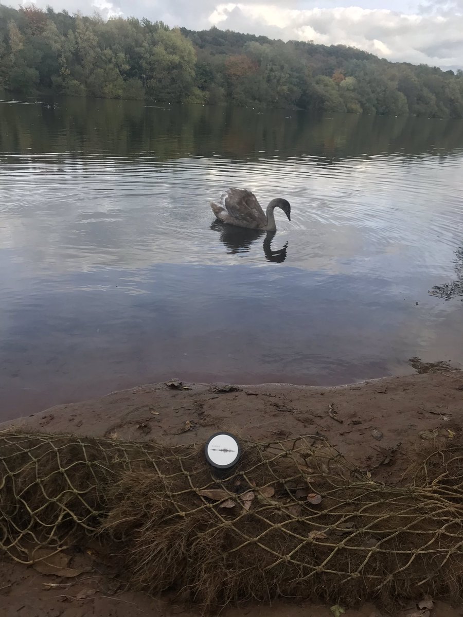 @SurgeGloballtd tweet media