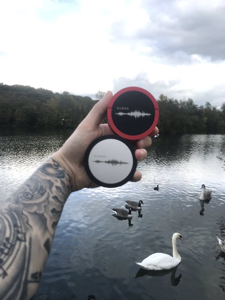 @SurgeGloballtd tweet media