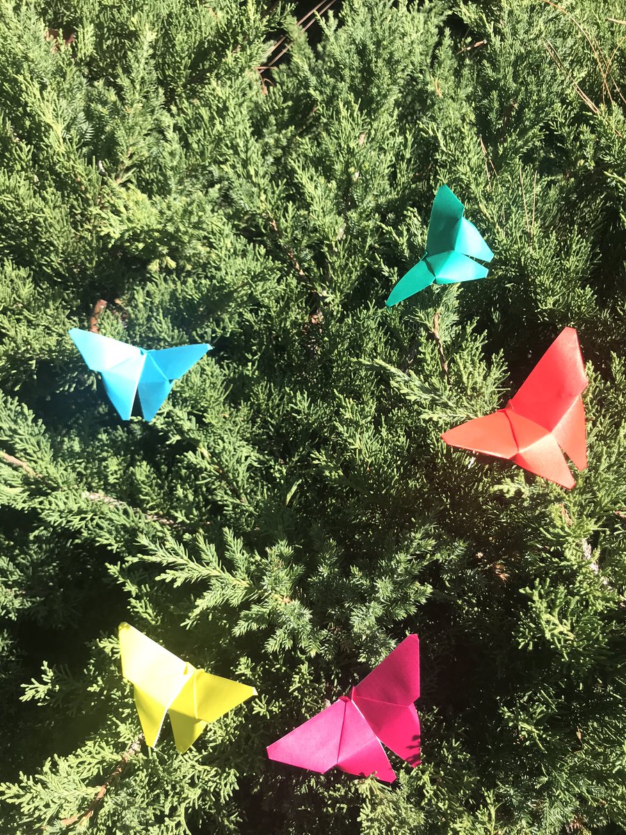 csulbgarden's tweet photo. Your fingers will do all the fluttering as we teach you to fold Origami Butterflies , today, in the Garden!

This Sunday-Fun activity is free for Garden Members and included with the price of admission for general visitors.

#SundayFun #GardenGlimpses #Origami https://t.co/d4gexZ2Bow