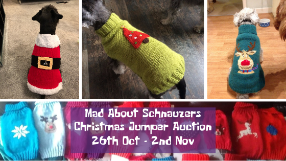Mad About Schnauzers Christmas Jumper Auction madaboutschnauzers.co.uk/2019/10/20/mad…