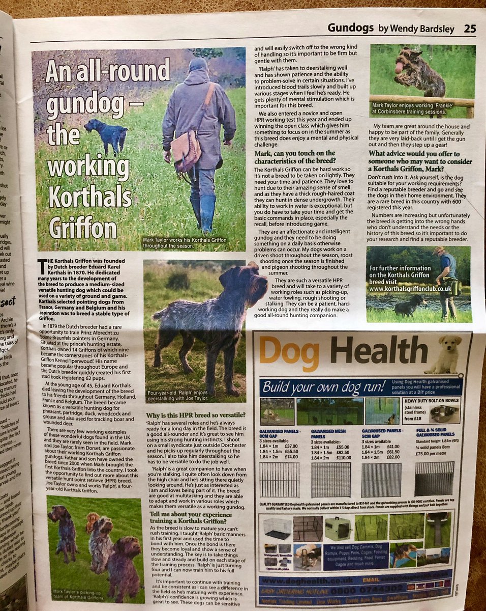 Are you as intrigued with the working Korthals Griffon as I am? I took the opportunity to find out more about this versatile HPR breed. Check out my interview in this week’s <a href="/CountrymansW/">The Countryman's Weekly</a>  tinyurl.com/y2qjog3b #hpr #korthalsgriffon #gundogs