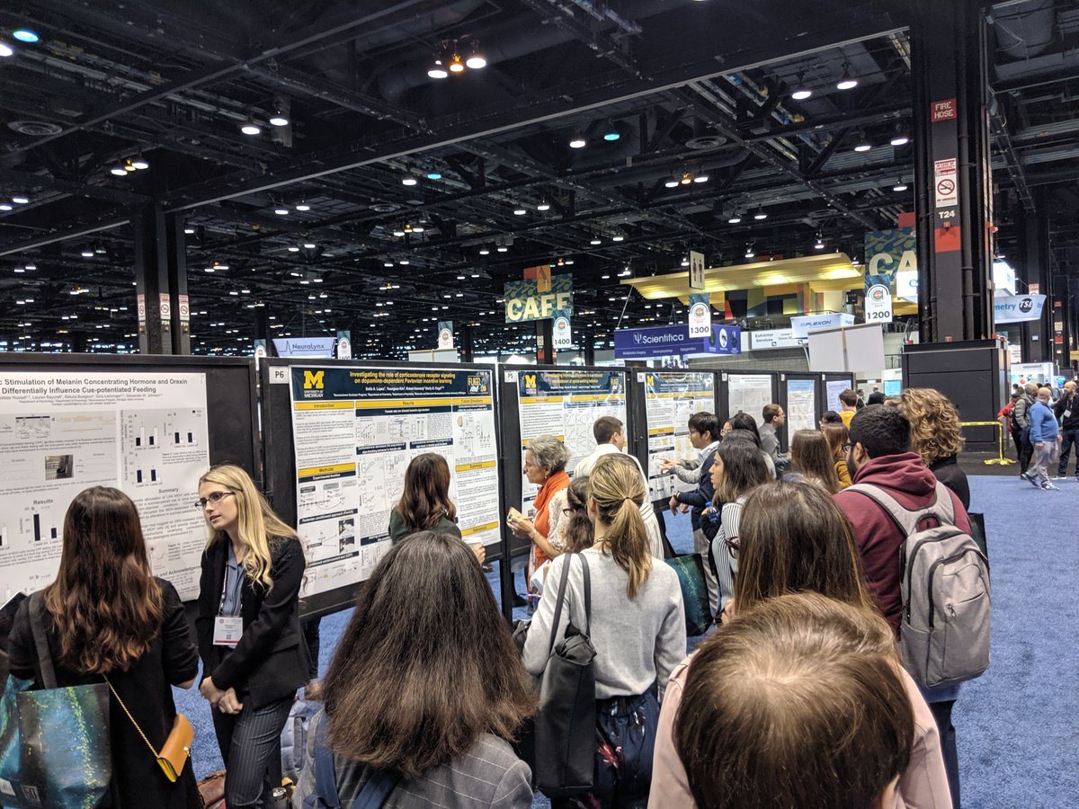 Shelly Flagel tweet media