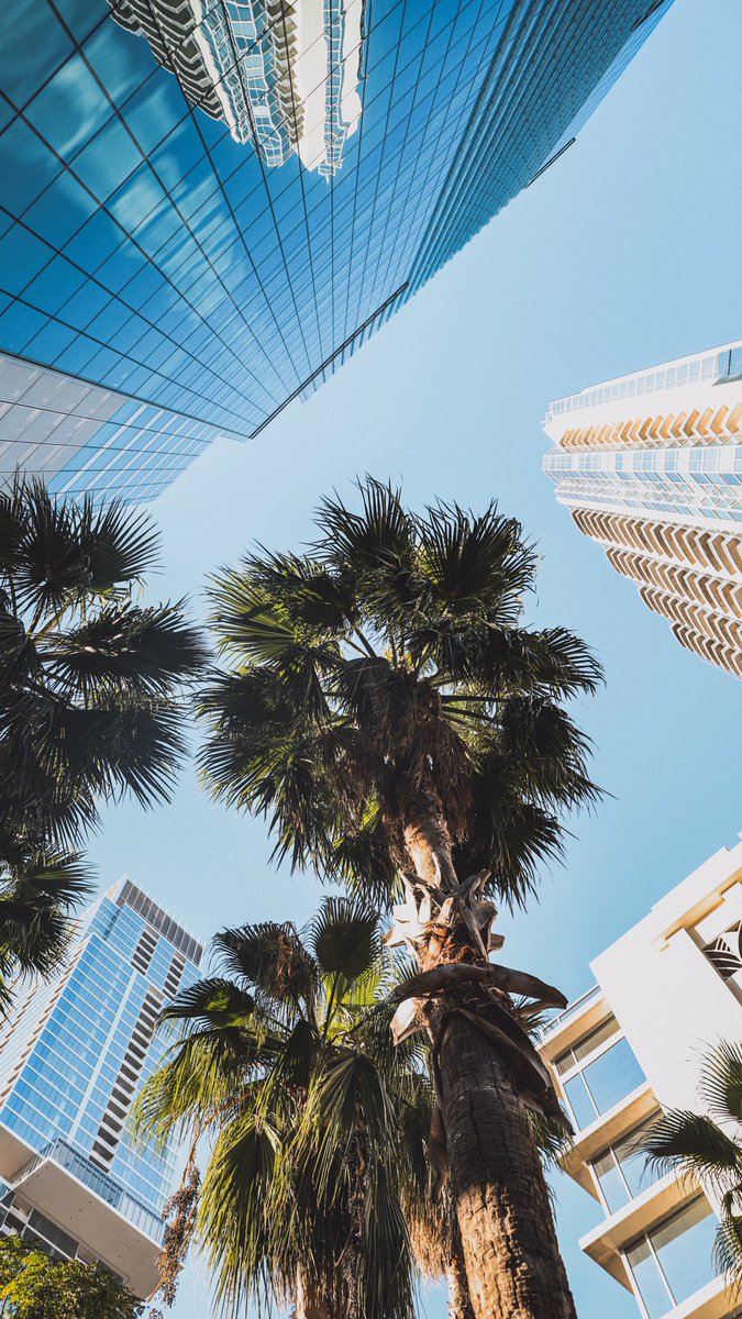chriscanonn's tweet photo. Austin from a different perspective 📸 https://t.co/tw48rD43QV