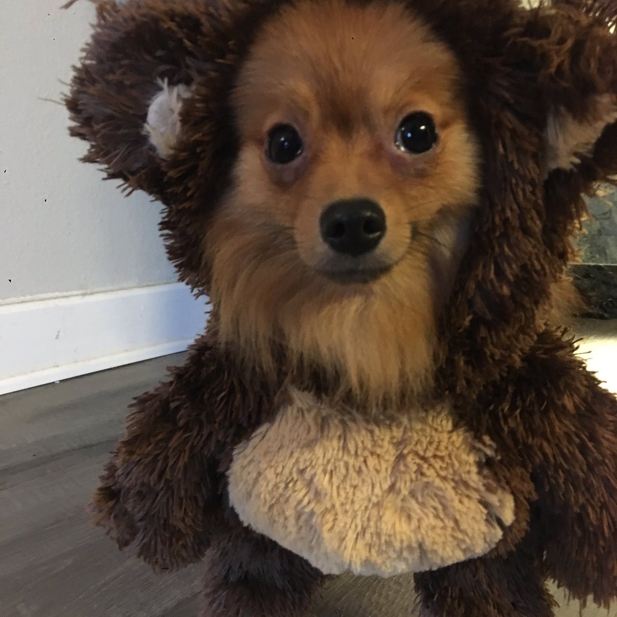 xxhapo_'s tweet image. #teamlightskin