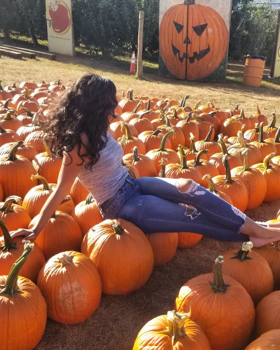 You're the pumpkin to my spice🎃🎃 love <a href="/CarterMountain/">Carter Mountain Orchard</a>