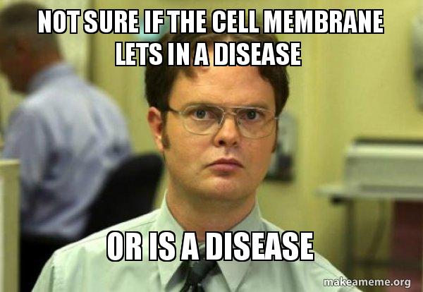 NucleoSenor's tweet photo. #organellewars @Bio2019Frazee @CellMem97255111 https://t.co/LfMAkSutTl