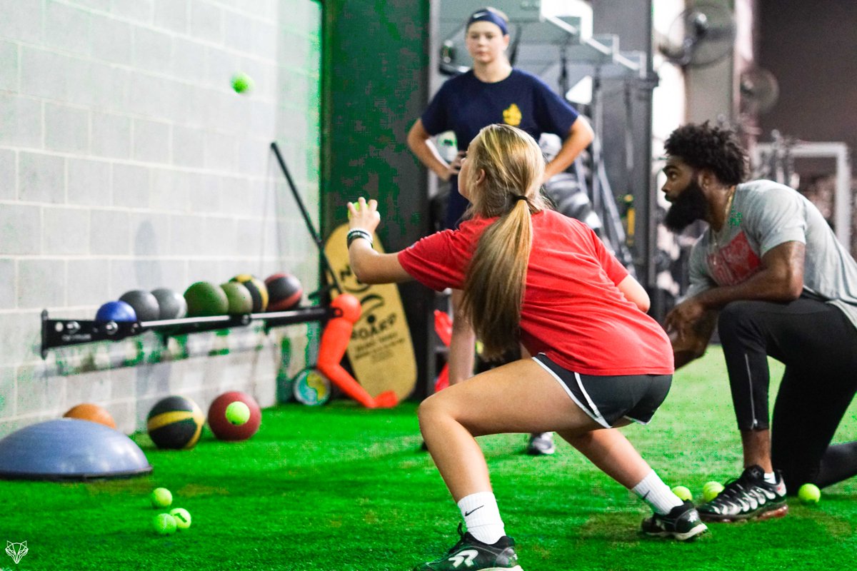 Alpha Training tweet media