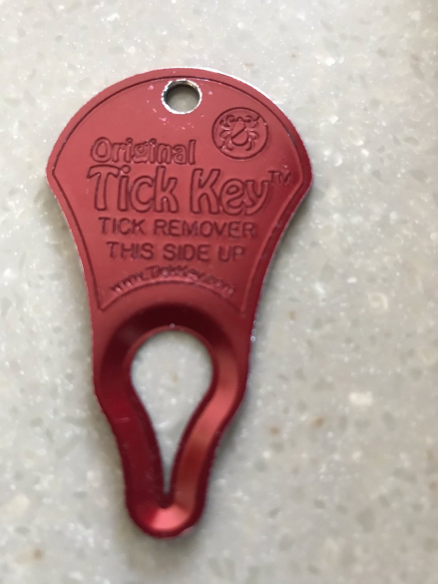 DrGiuliana's tweet image. Hey #biologyTwitter: Looking for #tickremoval advice/techniques, esp. for nymphs. ‘Pull upward with steady, even pressure’ &amp;amp; ease out did not work. Tried this doohickey but slipped right out. How do you get them out whole? 😠