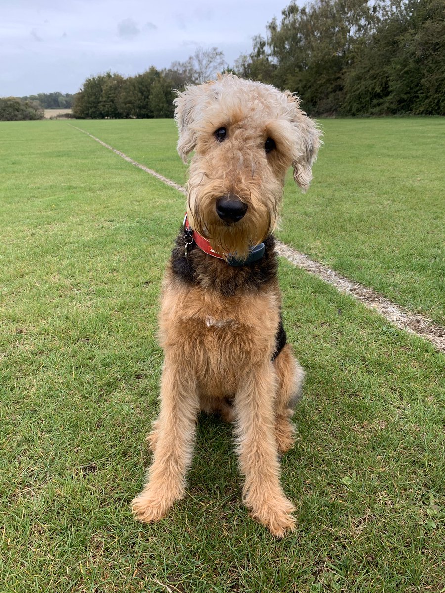 ภเккเ ♡ tweet media