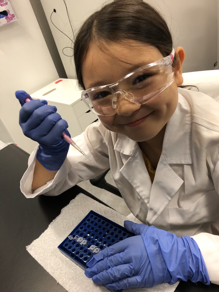 Max Perelman tweet media