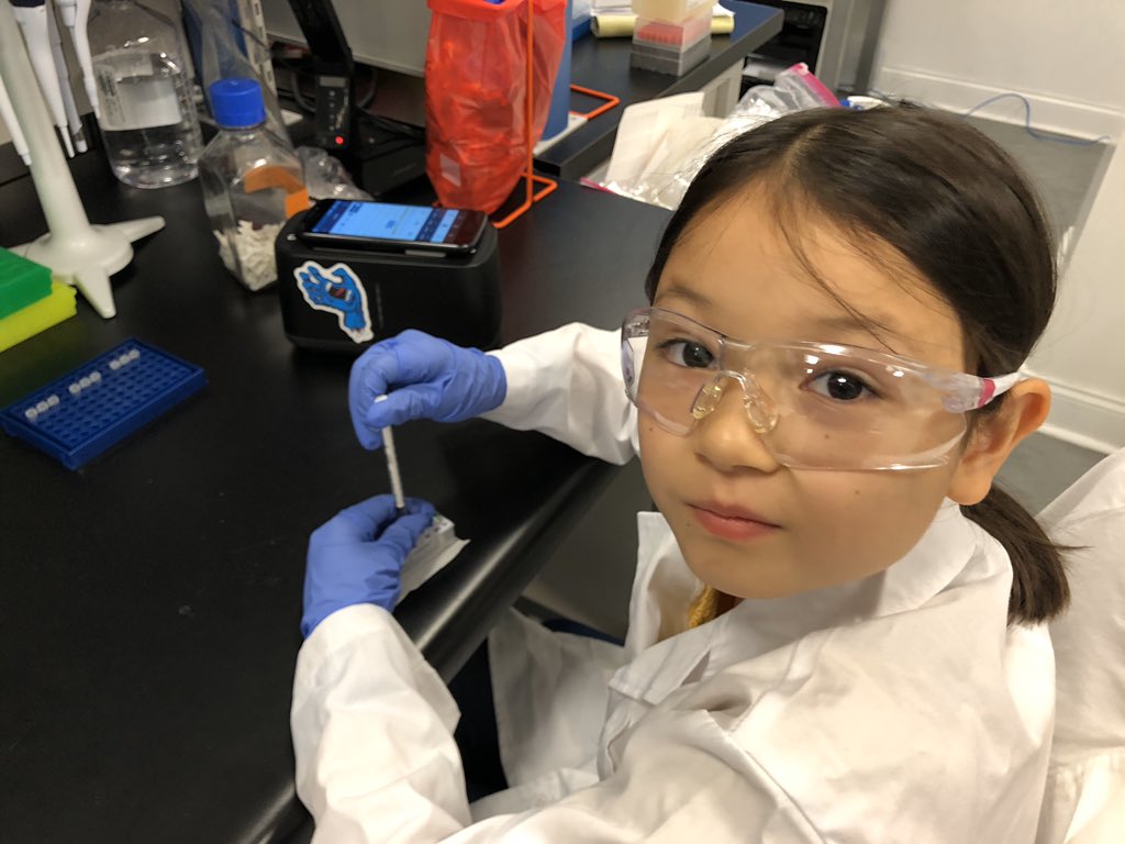 Max Perelman tweet media