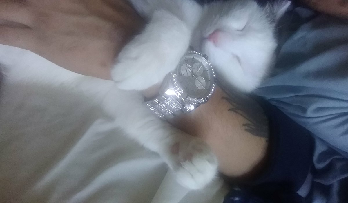Jav429's tweet photo. Days like these got me missing my lil man 😭 https://t.co/P69hsX60PC