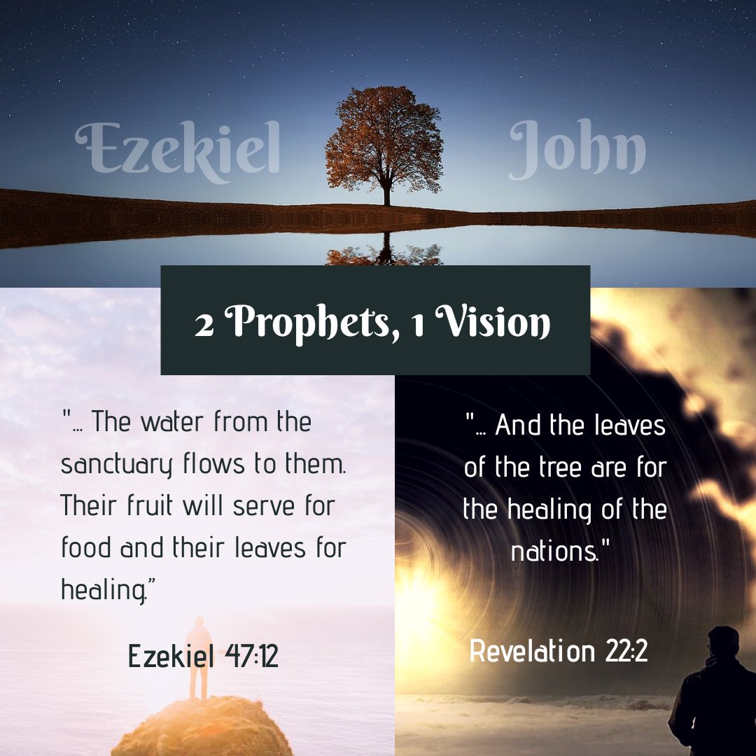 ReaditSeeit's tweet image. Ezekiel and John both saw the Tree of Life in their respective visions of the future. They both saw that the leaves are for healing. How wonderful that future will be!