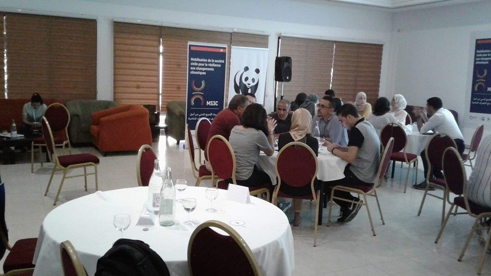WWFNorthAfrica's tweet photo. Le processus de l'appui des OSCs achève une étape bien avancé qui est la concrétisation de l'action climatique, @WWFTunisie organise une formation sur"Conception, montage, suivi et évaluation des projets"et ce dans le cadre du projet #MS3C co-financé par l'@AFD_France et @MavaFdn https://t.co/GDxJETUMNa