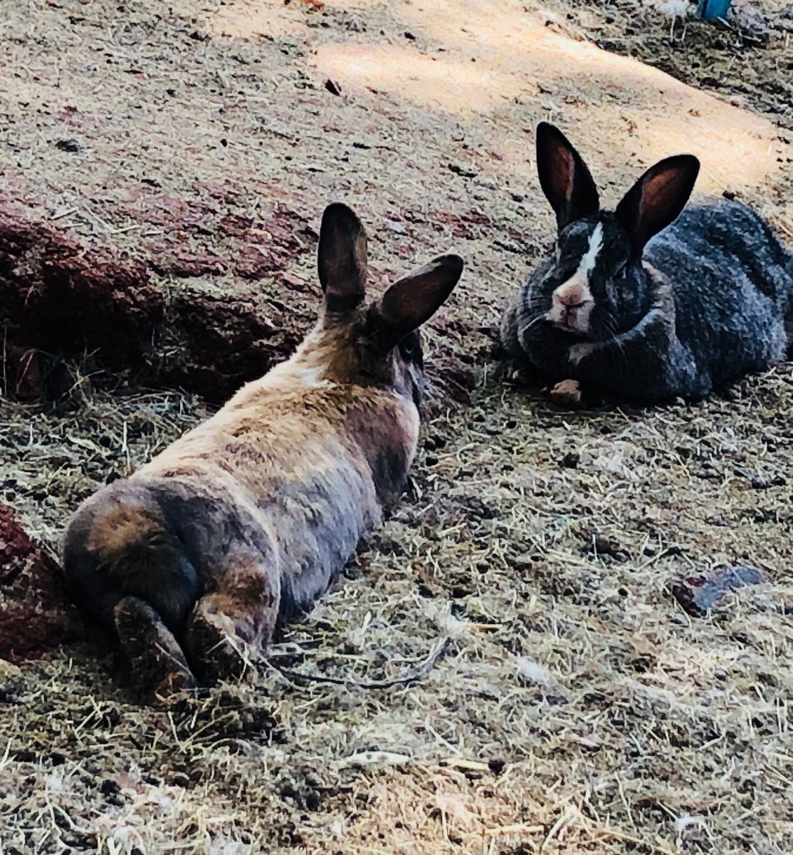 Had a lot to say today #pinksocks #BreastCancerAwarenessMonth #foreverchangedcampaign