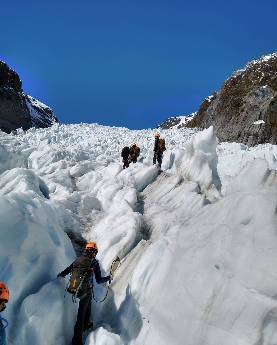 Fox Glacier Guiding tweet media