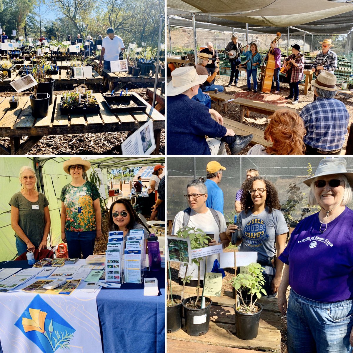 jeanquan's tweet photo. Beautiful day in #JoaquinMillerPark with #FriendsofSausalCreek at their annual #native plant sale with the #HarlanJamesBlueGrassBand. Bought some healthy native #purpleirises and ferns. #oaklandgardens #bayfriendlygardens #weloveoakland https://t.co/wLT5BEYdUf
