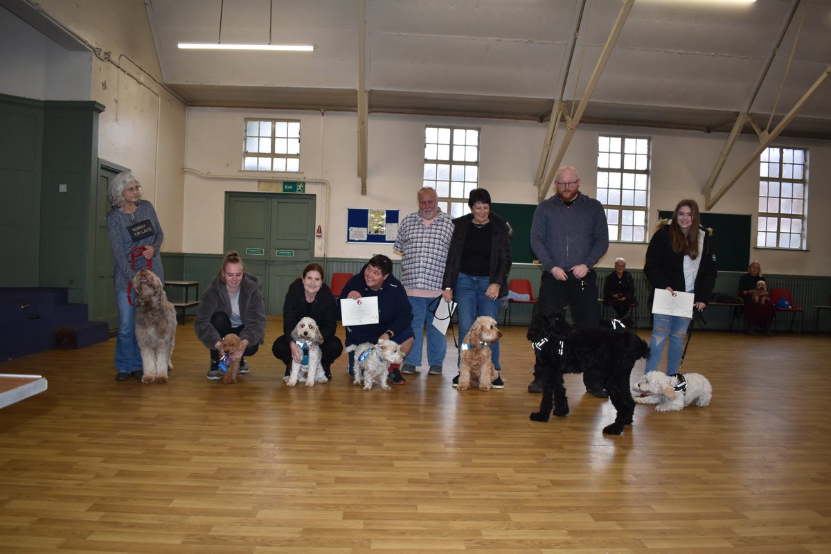 CHeWsdog's tweet photo. Our first multi-level testing day today. 9 Bronze, 18 Silver and 9 Gold passes!  I am so very proud of everyone who braved the test. Thank you to our examiners Rob, Claire, Marion &amp; Tony. https://t.co/pLk3olzFLF