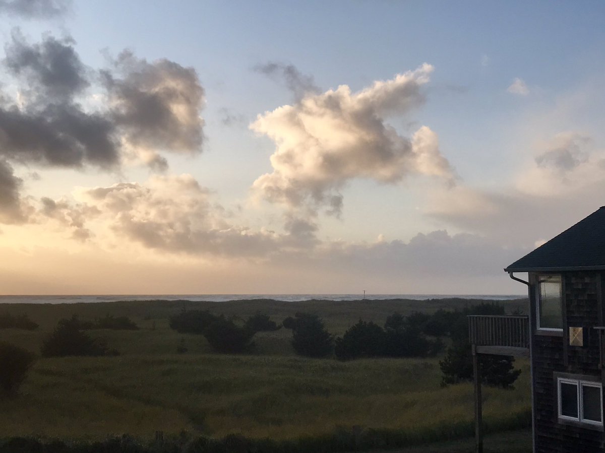 BloggerSwenson's tweet image. Though rainy, there was a few breaks in the #wawx and captured these images.... in #longbeach #washingtonstate this weekend. (c) 2019 LR Swenson