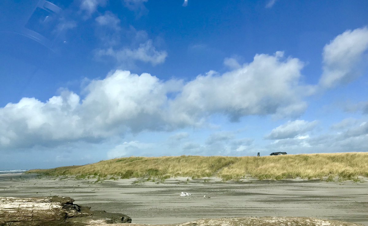 BloggerSwenson's tweet image. Though rainy, there was a few breaks in the #wawx and captured these images.... in #longbeach #washingtonstate this weekend. (c) 2019 LR Swenson