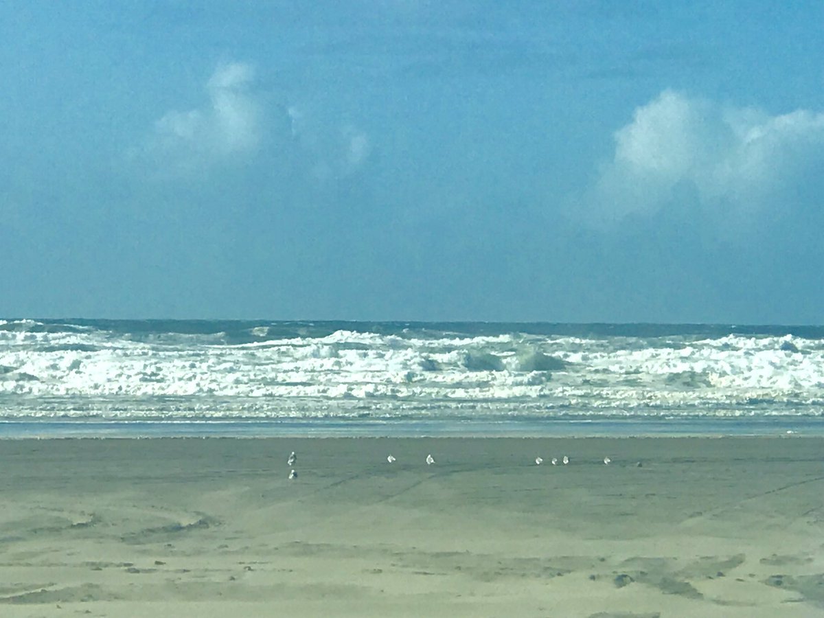 BloggerSwenson's tweet image. Though rainy, there was a few breaks in the #wawx and captured these images.... in #longbeach #washingtonstate this weekend. (c) 2019 LR Swenson