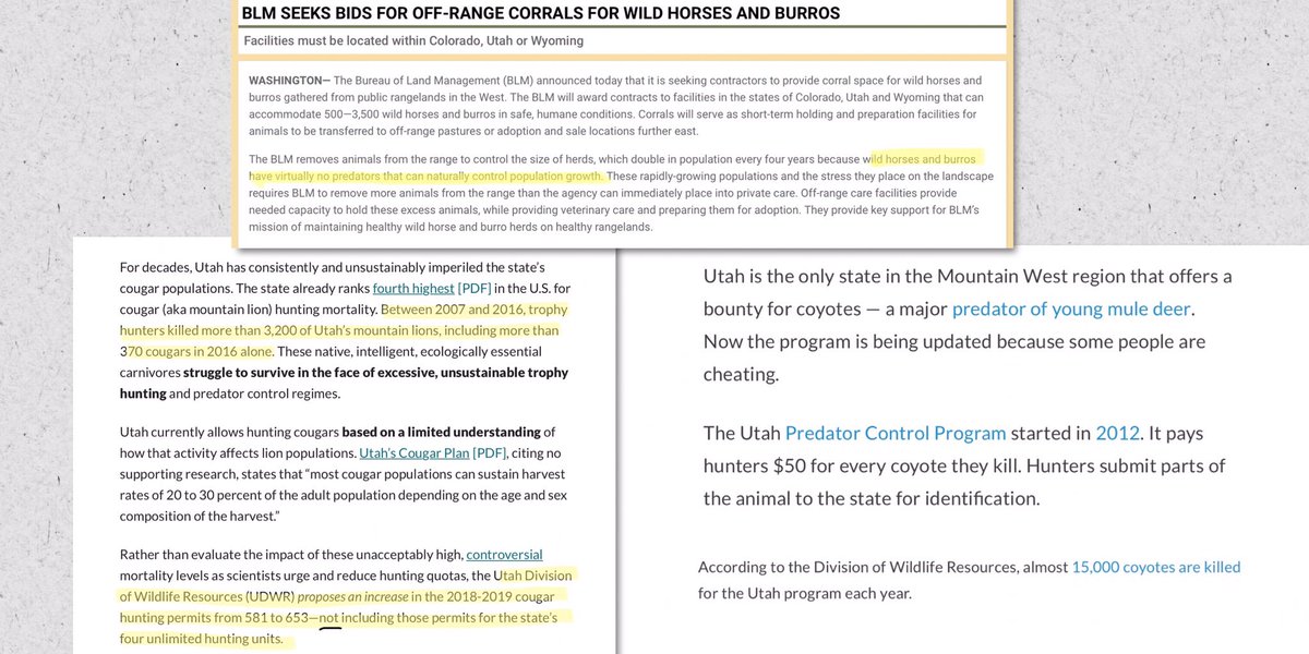 Blueequus775's tweet image. Does this make any sense?
Government data confirm that cougars have
a negligible effect on U.S. cattle &amp;amp; sheep industries:
humanesociety.org/sites/default/…
#StopKillingPredators