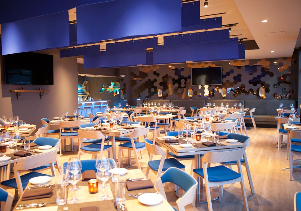 It’s that time of year – and TIQA has the perfect venue and food for your Christmas Party, but you need to act soon while space is still available.  Please click tiqa.net/restaurant/pri…
Please call us at 207-808-8840 or email Deen@tiqa.net