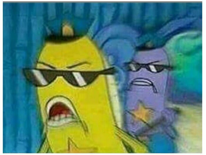 Noisymonkey tweet media