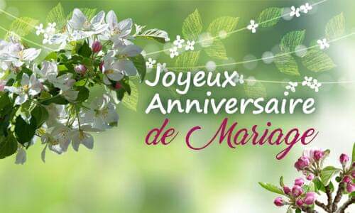 Cellule De Riposte Larem93 Joyeux Anniversaire De Mariage A Notre President Emmanuelmacron Ainsi Qu A Sa Charmante Epouse Brigitte T Co Mzhw8ga9ly Twitter