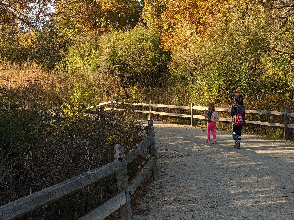 DM_GCHS's tweet photo. Enjoyed a family #hikelakecounty at #lcfpd Grant Woods today. Beautiful weather, couldn't let it go to waste. https://t.co/CrEo5znPRp
