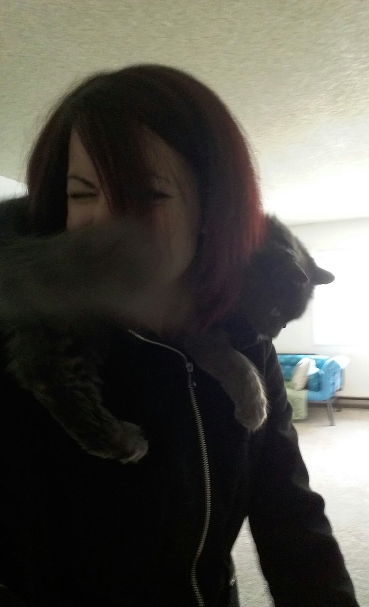ZiggyWearsHats's tweet photo. Human, I am not sure if you realized I'm out of food. To the store! #CatsOfTwitter #shehaskibble #butnosoftfood #dying #starving #sotragic #firstworldcatproblems https://t.co/43Iy1rjWWi
