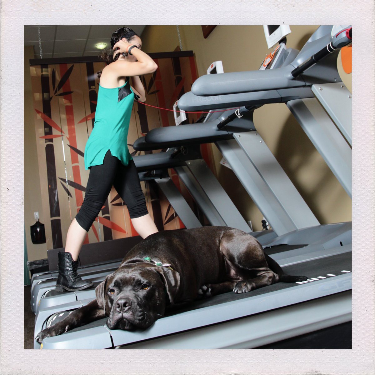 langstonphotog's tweet photo. Zeussy teaches @lizmiele about the benefits of not exercising. From my Dogs and Comedians series. #dogsofinstagram #comedy #comedian #hoboken #hobokencomedyfestival @hobokencomedy https://t.co/wq7heOxeN2