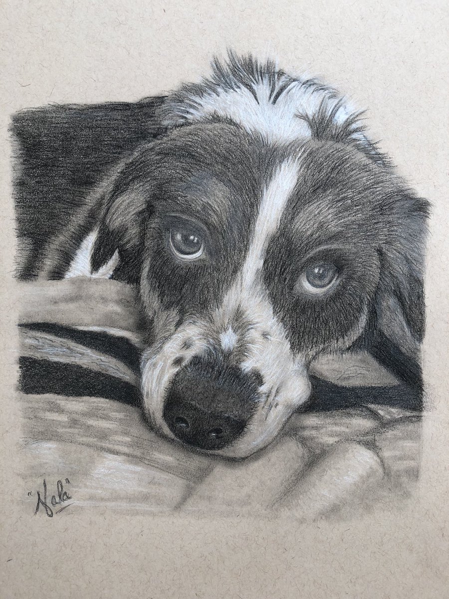Gidgitbaby's tweet photo. Realistic Drawing GIVEAWAY!
Follow these rules to enter. 👇🏻

TO ENTER:
🐶 Like and RT
🌹 Must follow @gidgitbaby on Twitter &amp; kingrosinn on Instagram (will be ✅)
👀 Tag a friend

Winner chosen in 48 hrs &amp; announced in @KingRosinn stream on Thursday.

Good luck everyone! 💜 https://t.co/KDO4BA2iPa