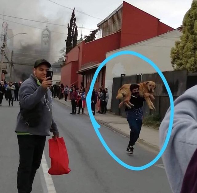 officialpasven's tweet photo. Recordamos haber visto a héroes así en Venezuela🙌🏻

Más allá de las creencias o acciones que decidan tomar. Por favor, cuiden a los animalitos en las calles que puedan ser víctimas de los disturbios 🙏🏻 #chile #pasven https://t.co/i6EARFNqu0