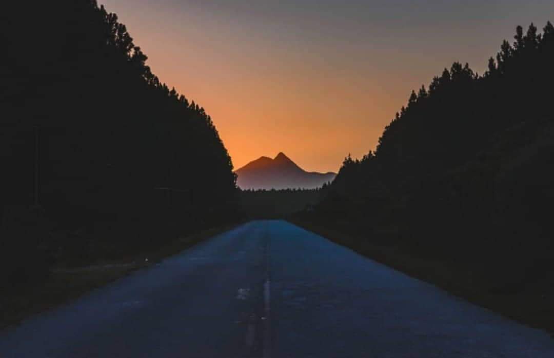 TsitsikammaTourism tweet media