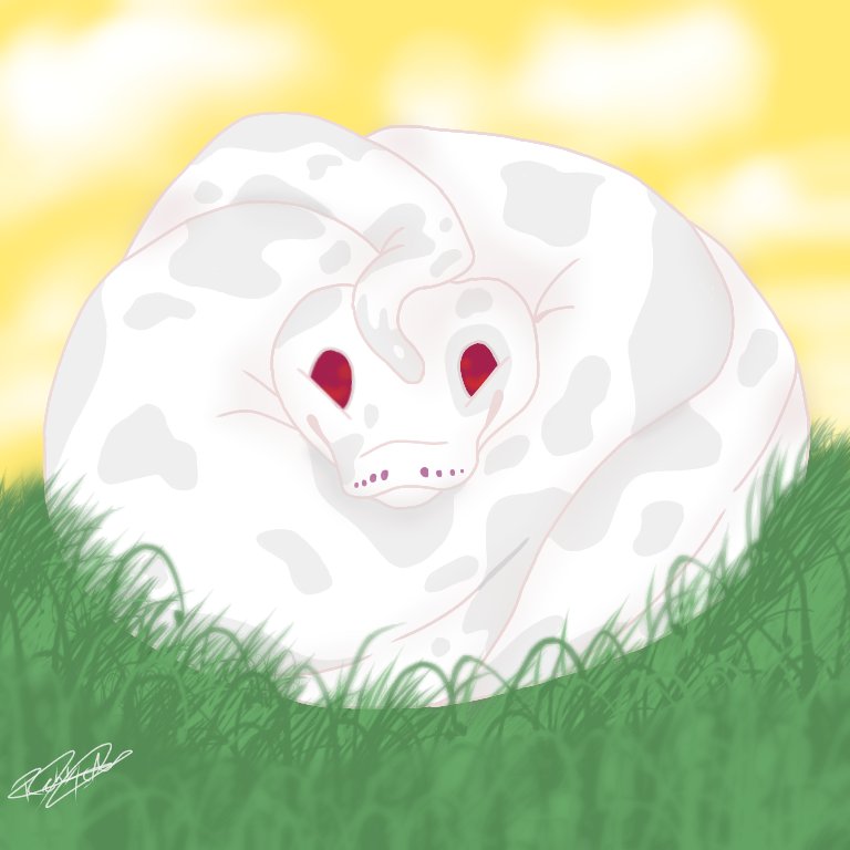 GhostFox98's tweet photo. #boa #boaconstricter #cute #cutebaby #cutie #snake #snakes #nature #happy #art #artist #myart #ibispaintx #drawing #mydrawing #beautiful #beautifulsnake https://t.co/15guBxO22s