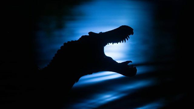 Hunting in the moonlight.

#jurassicpark #spinosaurus #jurassicparkfanart #toyphotography #jurassic_park #dinosaur #dino #dinofan #toy_alliance #toyoutsiders #toycrewbuddies #toycrew #toycrewbuddiesjp #toytribe #jurassicworld #papo #wheretoysdwell #where… ift.tt/2p132ul