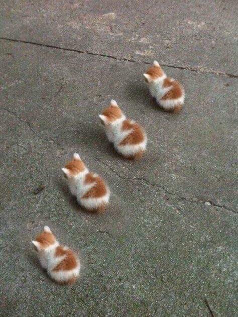 budypals's tweet image. Oh God’t Thère Are So Many Of Thèm