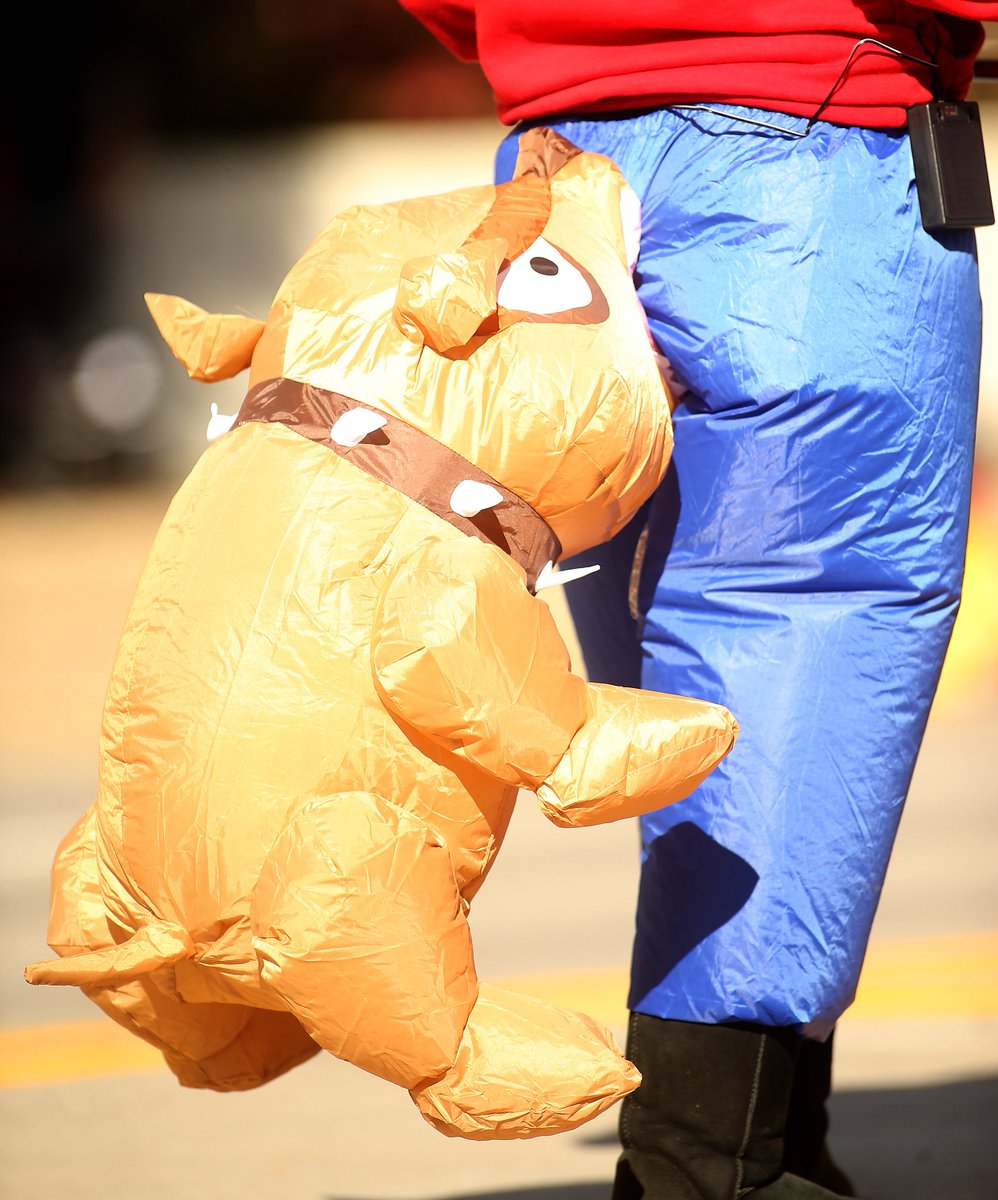 Check out slide show of the annual Moline Dad's Club Halloween Parade at tinyurl.com/y58hgpp5 . <a href="/Dispatch_Argus/">Dispatch/Argus</a> <a href="/qctimes/">Quad-City Times</a> <a href="/qctnews/">QCT News</a> <a href="/QCTweather/">Q-C Times weather</a>