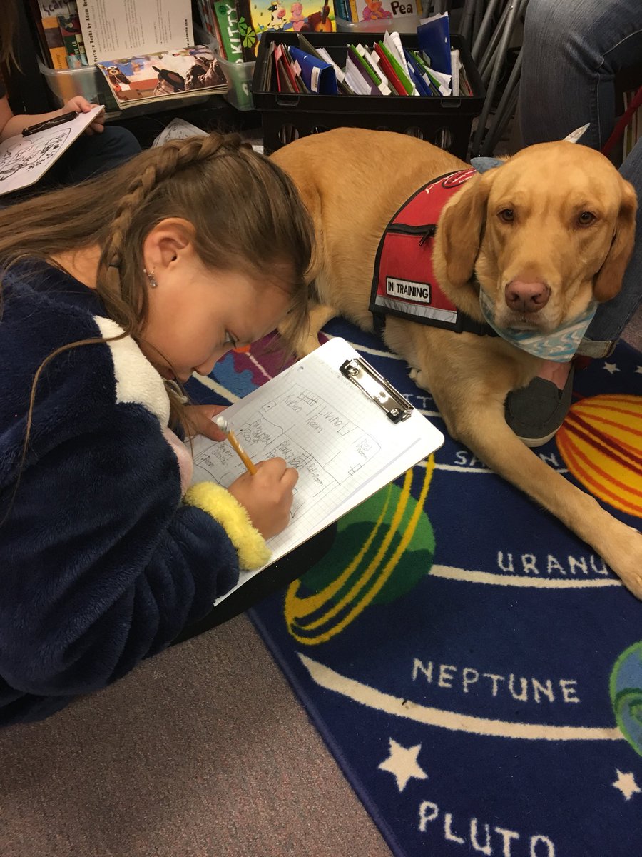 Midland Mustangs tweet media