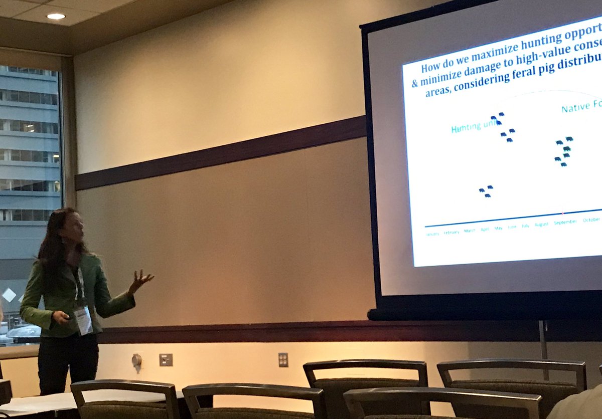 katie_m_o's tweet image. Next up, @HiWildlife talking about management of feral pigs 🐷 on Maui using decision analysis #informs2019